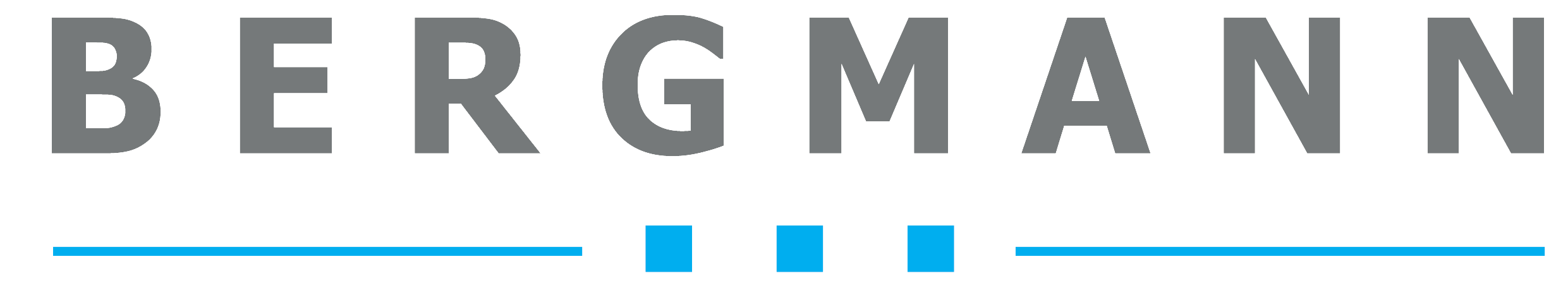 Logo Bergmann Steuerberatungsgesellschaft mit Verlinkung zur Startseite